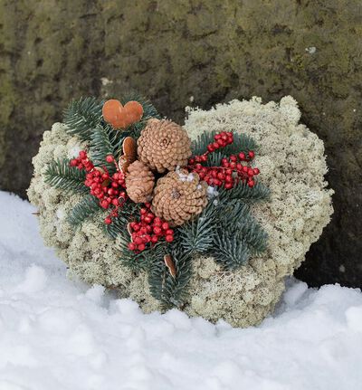 Mosehjerte Mosehjerte